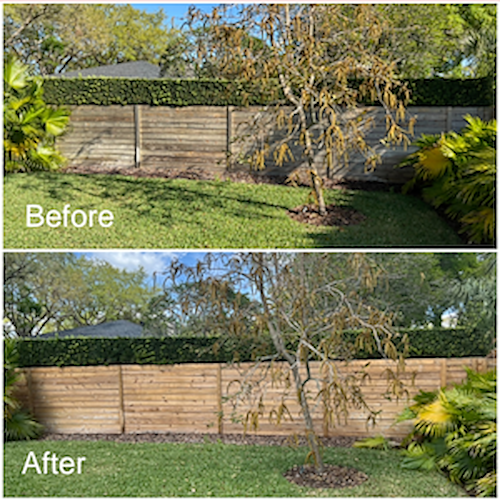 BENEFITS OF ROUTINE PRESSURE WASHING & SOFT WASHING IN ORLANDO